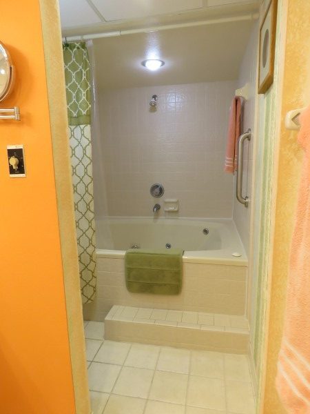 324 Steps Into Master Tub And Shower (Custom)
