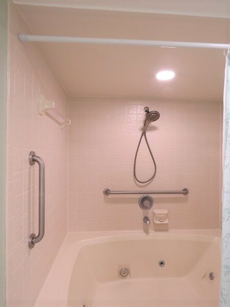 Master Bathroom Tub And Shower (Custom)