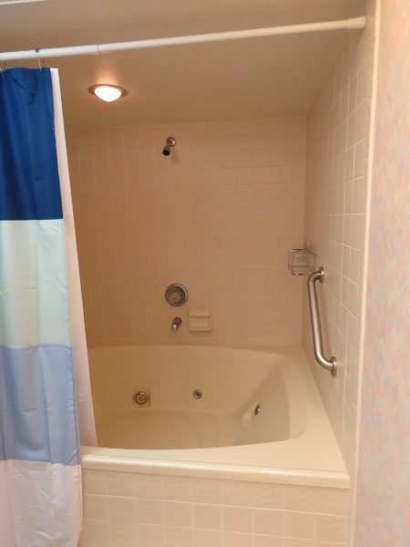 724 Master Bathroom Shower And Tub (Custom)