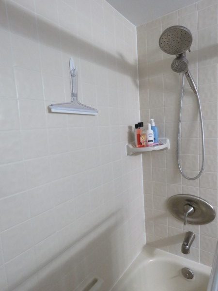Hall Bathroom Shower (Custom)