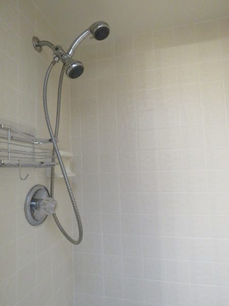 724 Guest Shower (Custom)