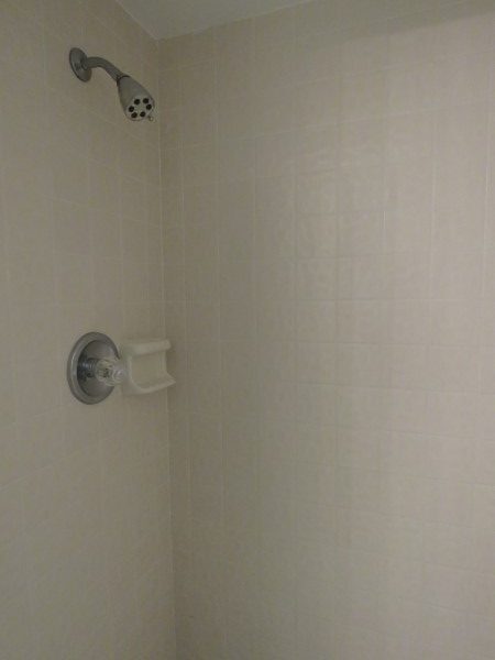 Guest Bathroom Shower (Custom)